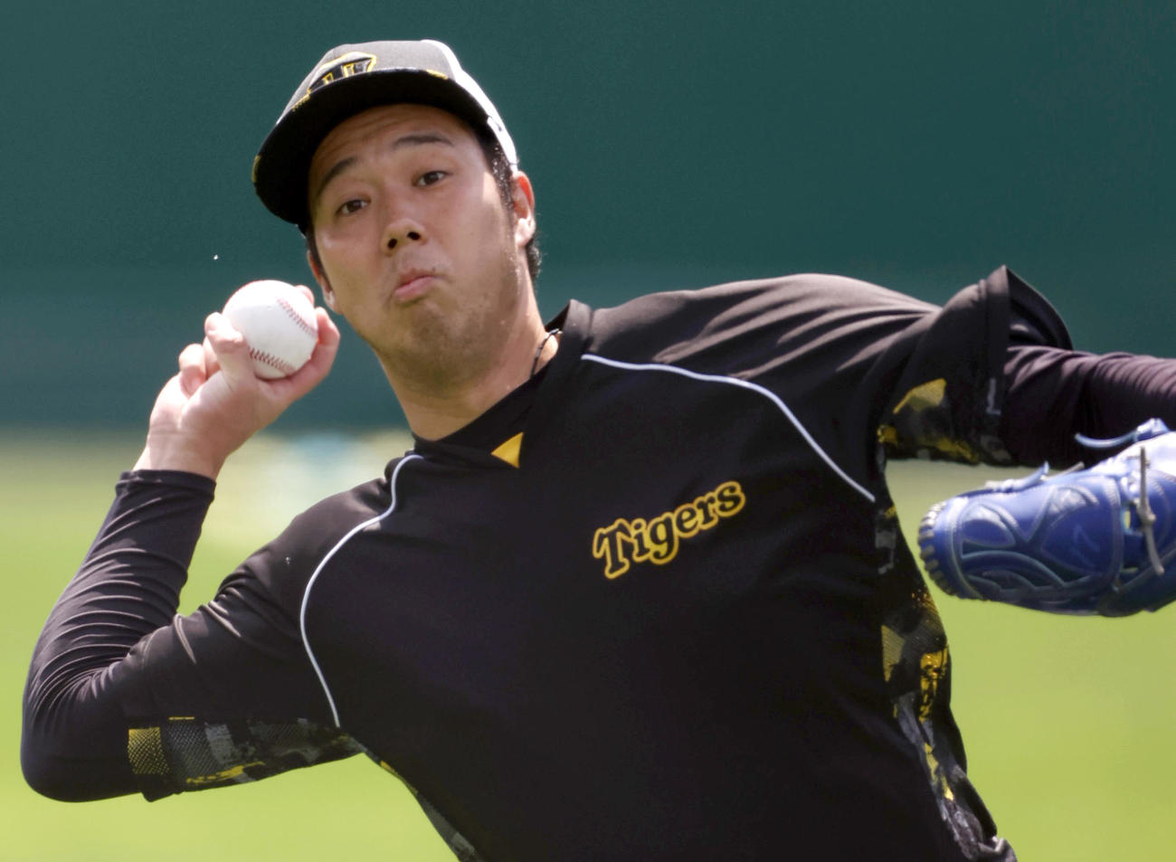 投手指名練習でキャッチボールする阪神青柳（撮影・上山淳一）
