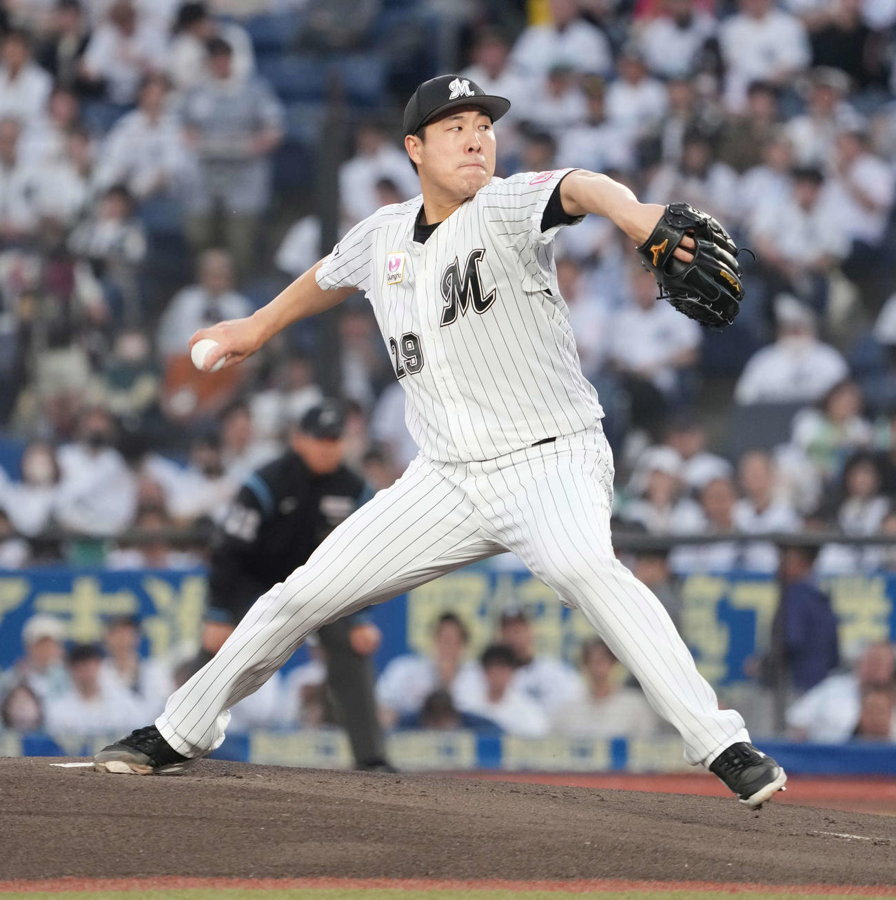 ロッテ対ソフトバンク　ロッテ先発の西野（撮影・小沢裕）