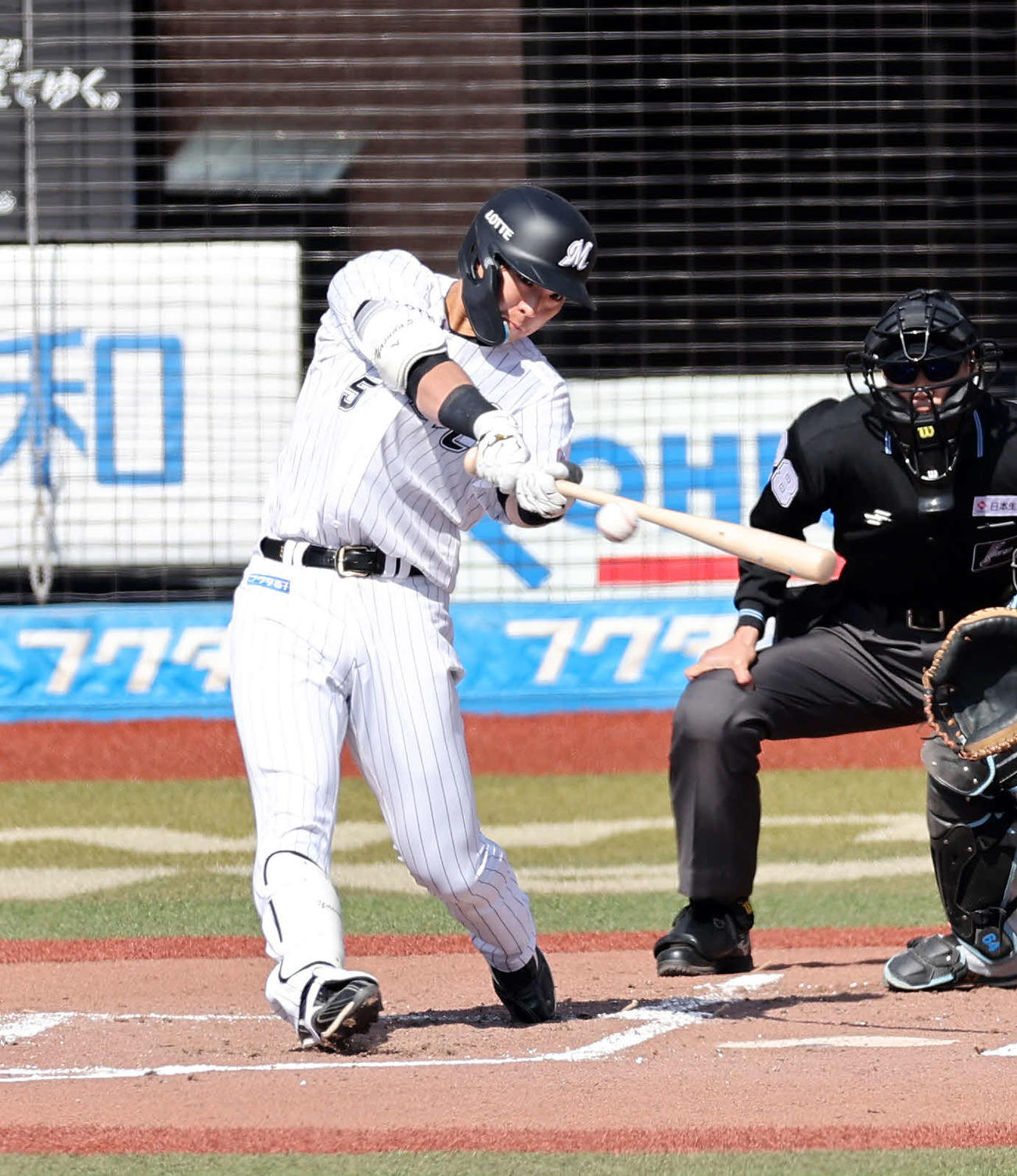 ロッテ安田尚憲（2024年3月31日撮影）