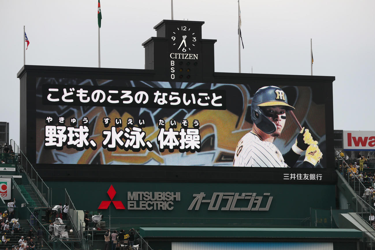 阪神対ヤクルト　「こどものころのならいごと」阪神佐藤輝（撮影・上山淳一）