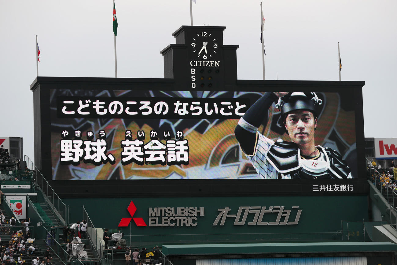 阪神対ヤクルト　「こどものころのならいごと」阪神坂本（撮影・上山淳一）