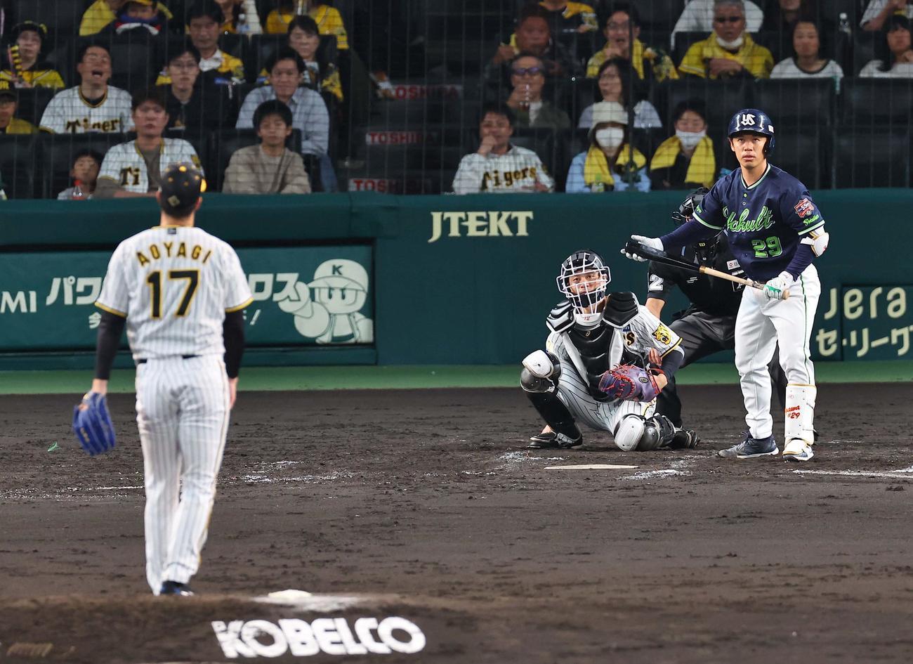 阪神対ヤクルト　4回表ヤクルト無死満塁、小川は押し出し四球を選ぶ。投手は青柳（撮影・上田博志）