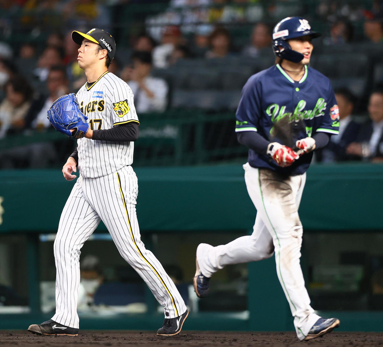 阪神対ヤトルト　2回表ヤクルト1死二、三塁、青柳（左）は武岡に左犠飛を打たれ2点目を失う。手前は生還した三走長岡（撮影・上山淳一）