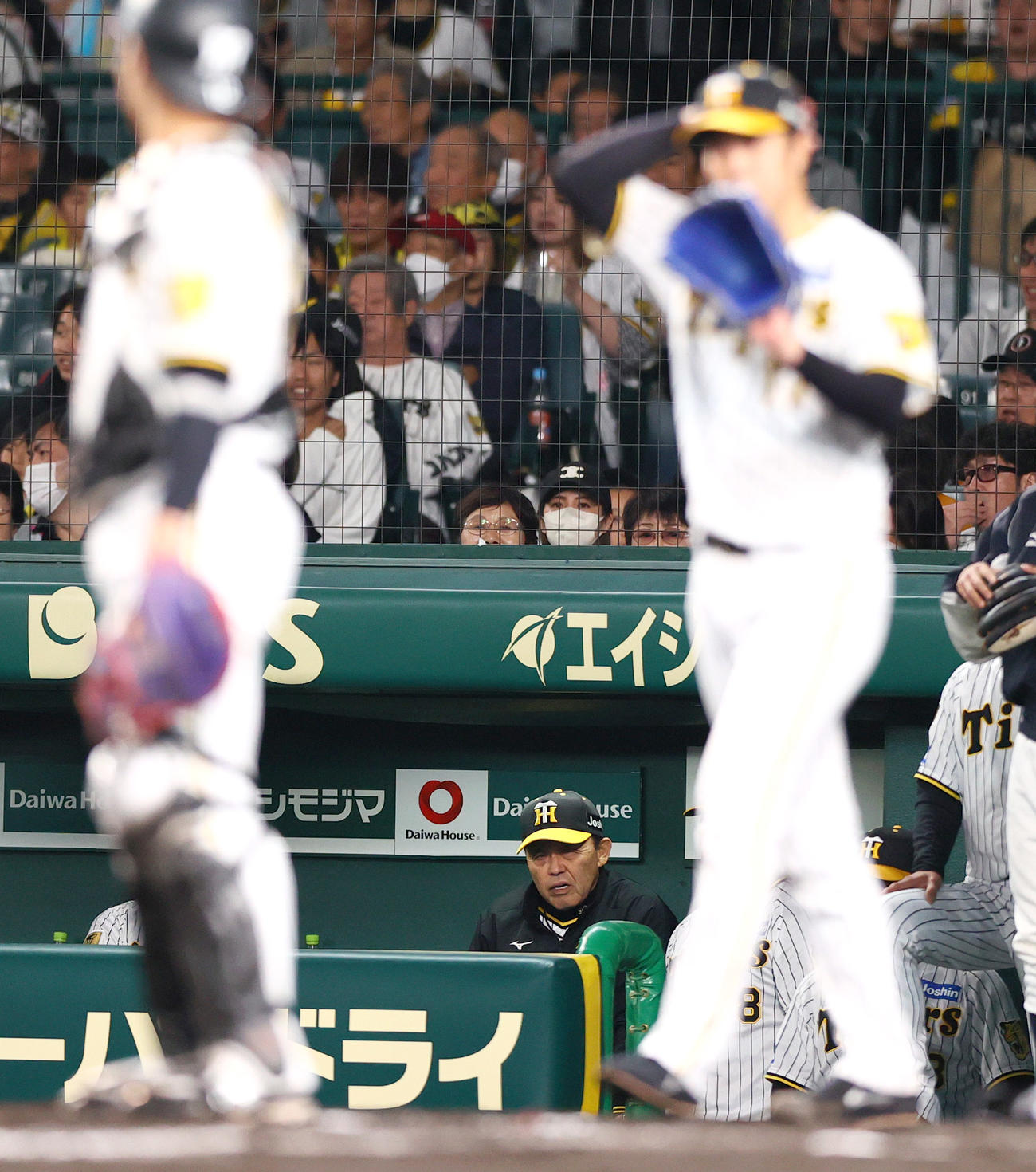 阪神対ヤクルト　4回表ヤクルト無死満塁、岡田監督は西川の中犠飛から遊撃手木浪が悪送球し4点目を失い渋い表情を見せる（撮影・上山淳一）