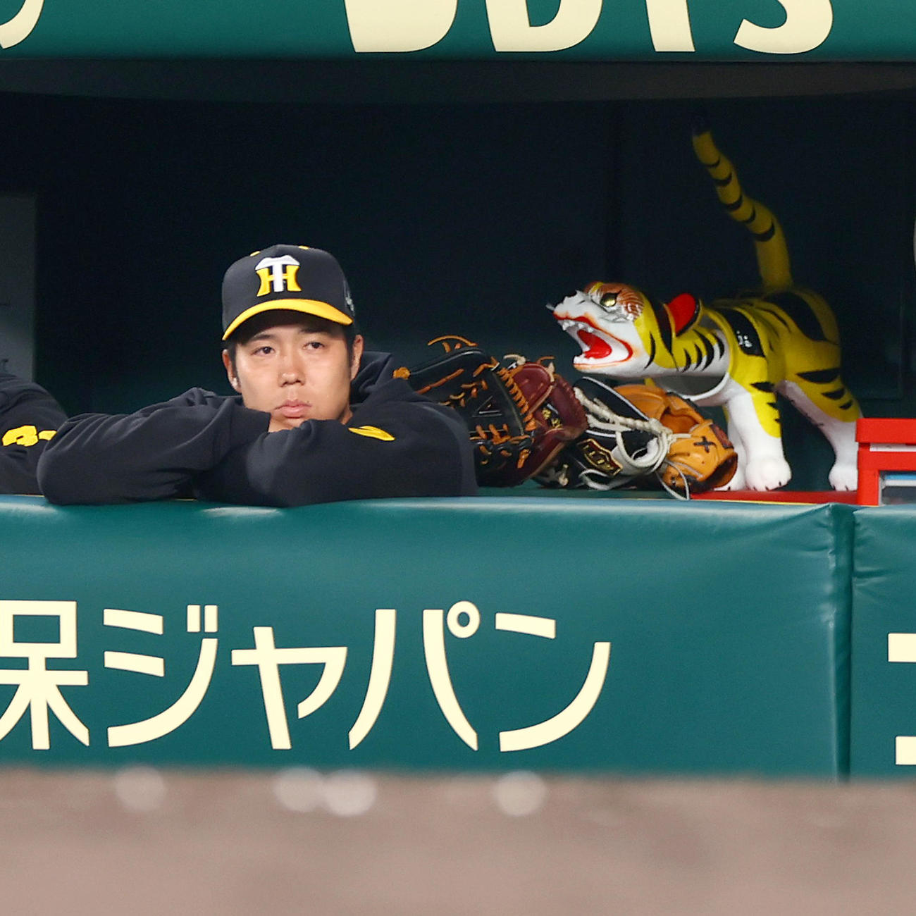 阪神対ヤクルト　ベンチからグラウンドを見つめる阪神青柳（撮影・上山淳一）