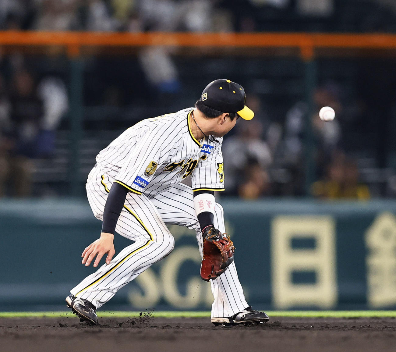阪神対ヤクルト　7回表ヤクルト無死、長岡の打球を後逸する木浪（撮影・藤尾明華）