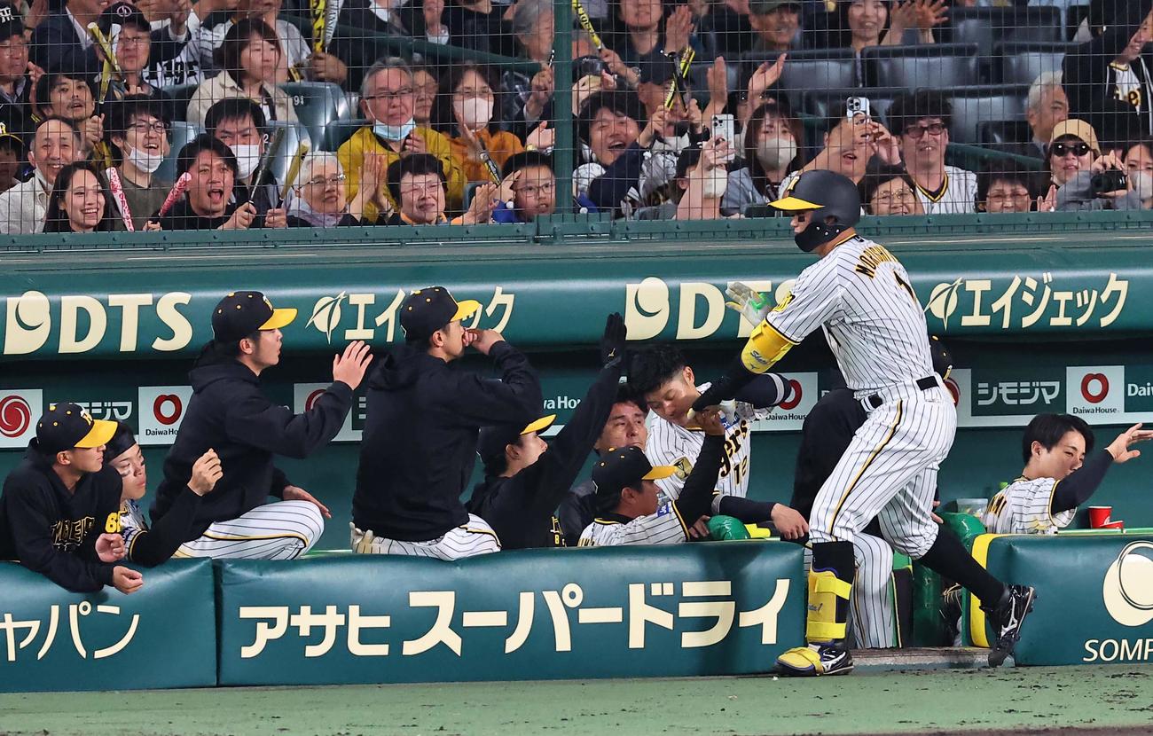 阪神対ヤクルト　4回裏阪神2死、ソロ本塁打を放った森下はナインの出迎えを受ける（撮影・上田博志）
