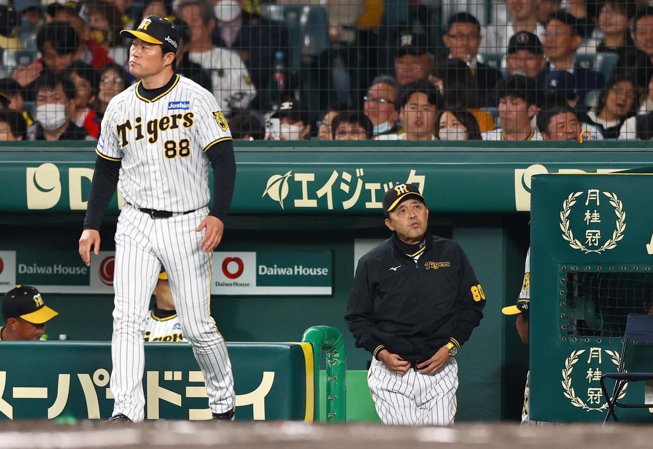 阪神対ヤクルト　4回途中、先発青柳の降板を告げるためベンチを出る阪神岡田監督（撮影・上山淳一）