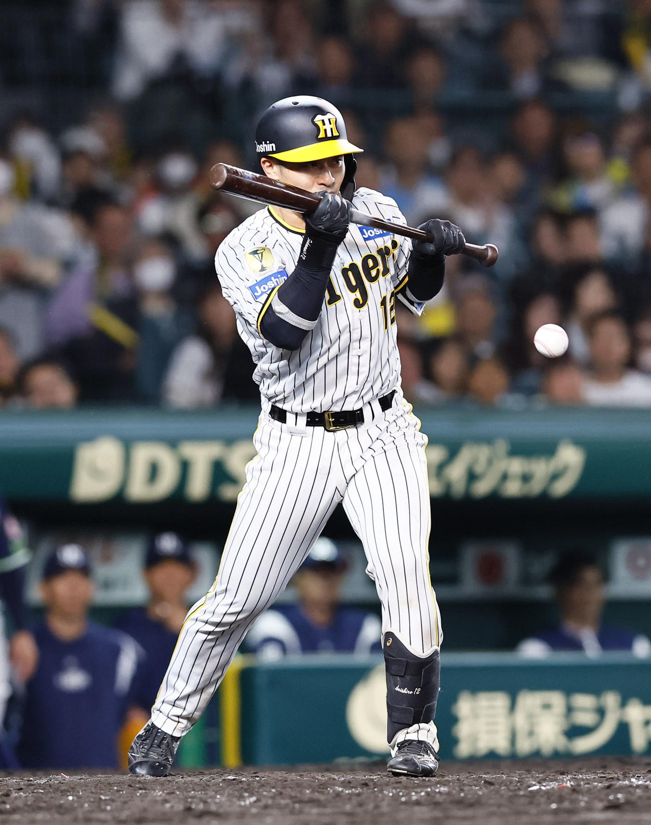 阪神対ヤクルト　5回裏阪神無死一、二塁、坂本が送りバントを試みるも一ゴロとなる（撮影・藤尾明華）