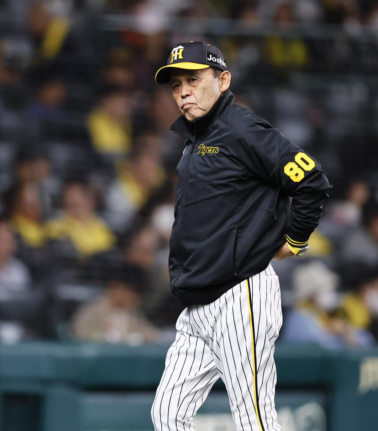 阪神対ヤクルト　6回途中、投手交代を告げベンチに戻る阪神岡田監督（撮影・藤尾明華）
