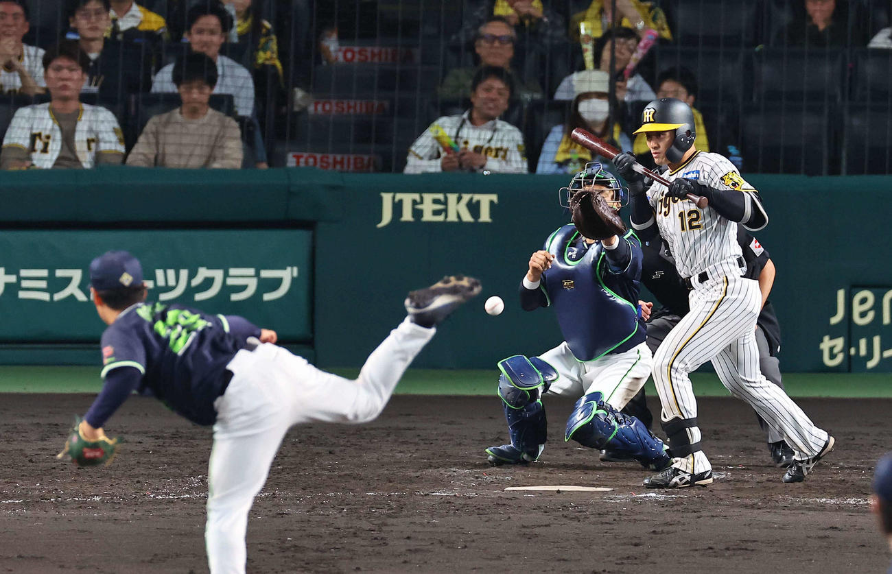阪神対ヤクルト　5回裏阪神無死一、二塁、坂本は送りバントに失敗する（撮影・上田博志）