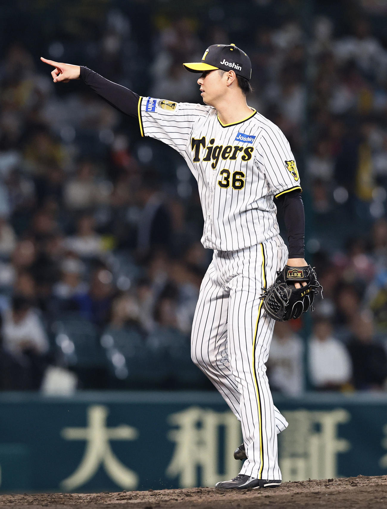 阪神対ヤクルト　8回表ヤクルト1死一塁、村上を三振に仕留め指さす浜地（撮影・藤尾明華）