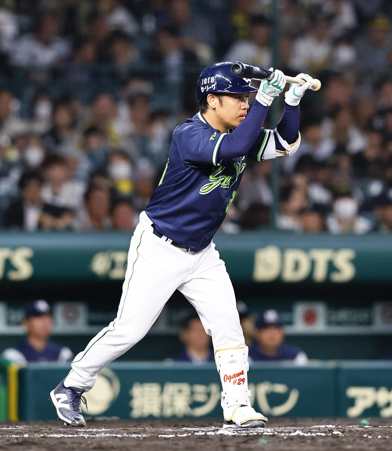 阪神対ヤクルト　7回表ヤクルト1死一、三塁、スクイズの構えをする小川（撮影・藤尾明華）