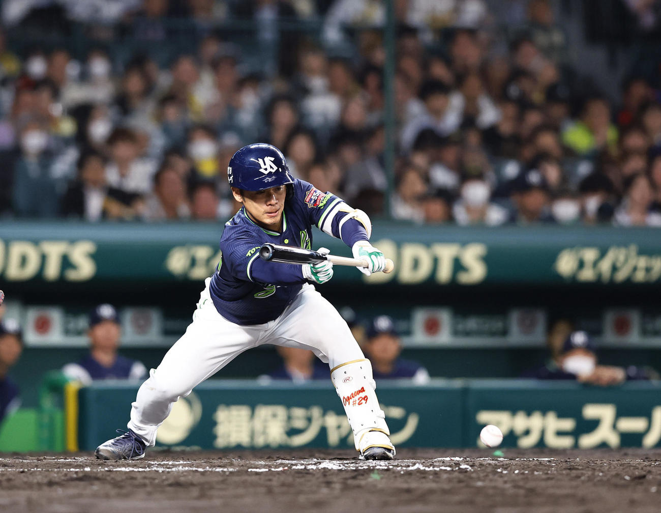 阪神対ヤクルト　7回表ヤクルト1死一、三塁、小川は一前にスクイズを決める（撮影・藤尾明華）