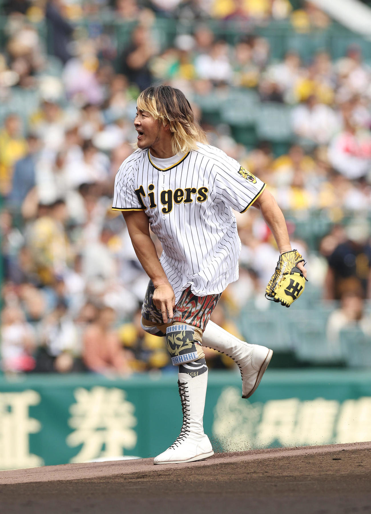 阪神対ヤクルト　始球式を務めるプロレスラーの棚橋弘至（撮影・前田充）