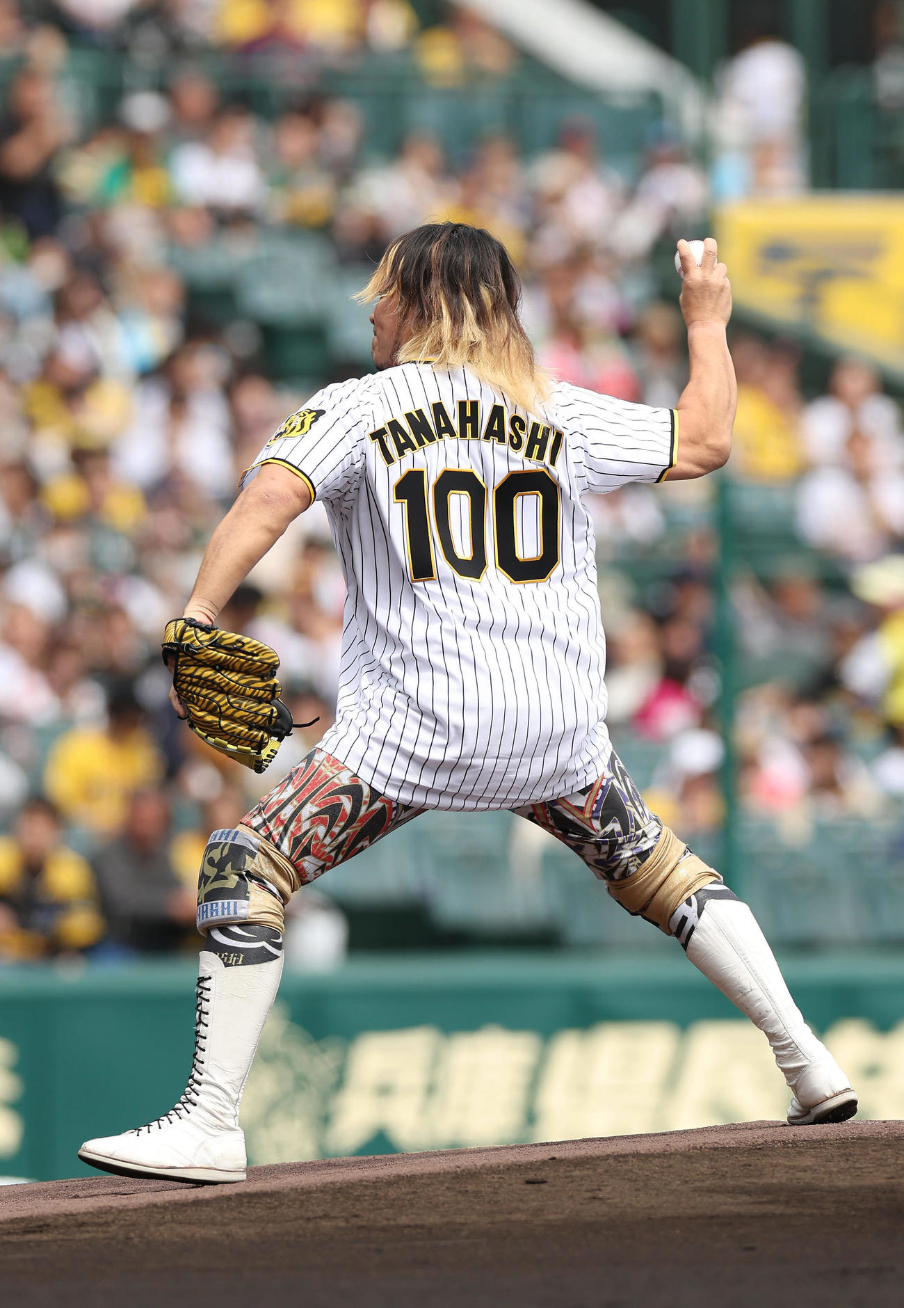 阪神対ヤクルト　始球式を務めるプロレスラーの棚橋弘至（撮影・前田充）