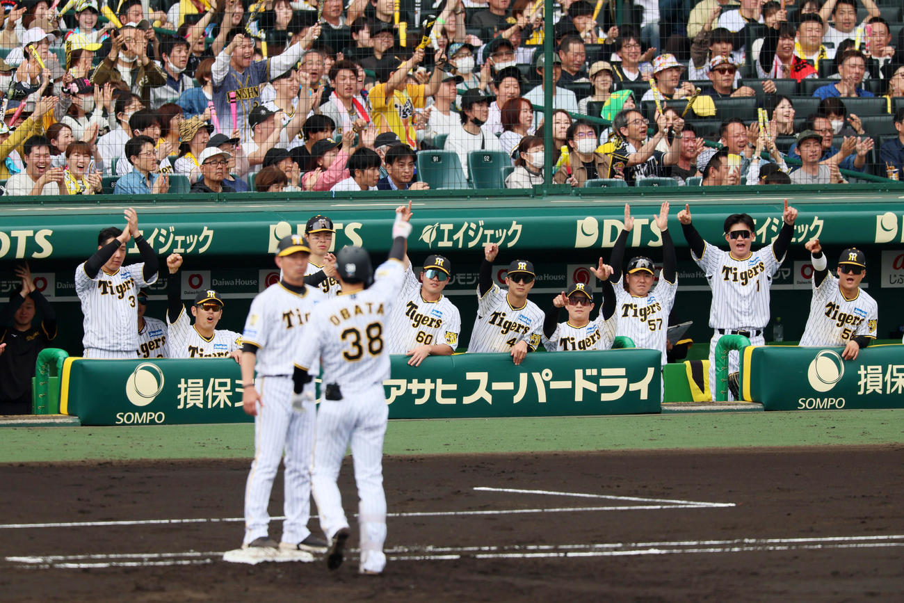 阪神対ヤクルト　2回裏阪神2死一、二塁、小幡の中適時打に喜ぶベンチのナイン（撮影・加藤哉）