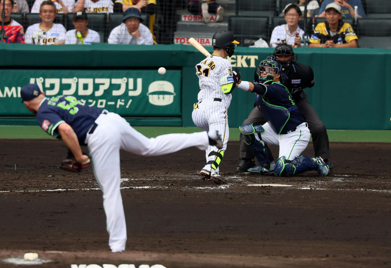 阪神対ヤクルト　3回裏阪神無死一塁、中野は背中に死球を受ける。投手はサイスニード（撮影・加藤哉）