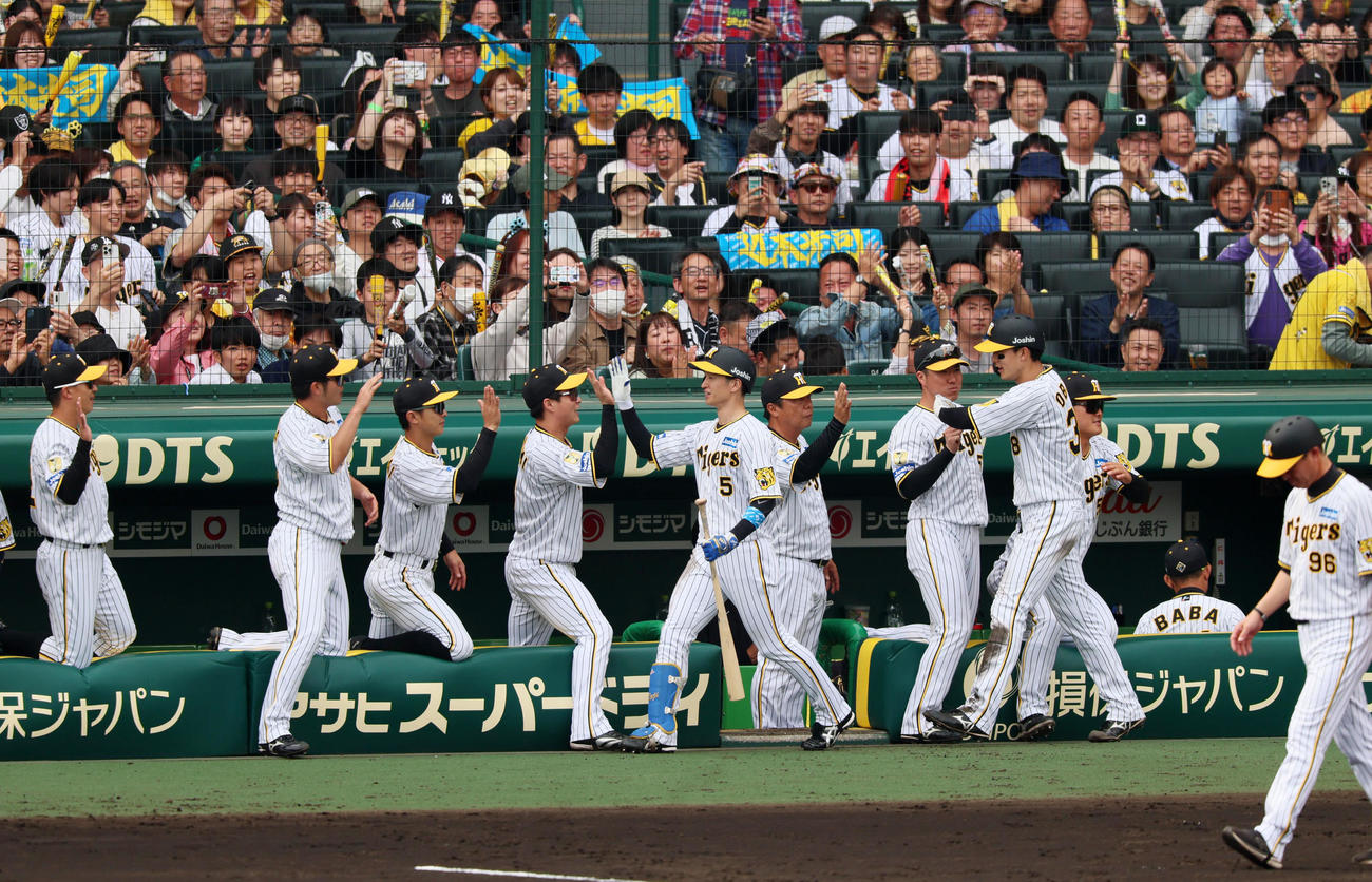 阪神対ヤクルト　5回裏阪神1死二塁、近本は右越え2点本塁打を放ちベンチのナインとタッチ。右は生還した一塁走者小幡（撮影・加藤哉）