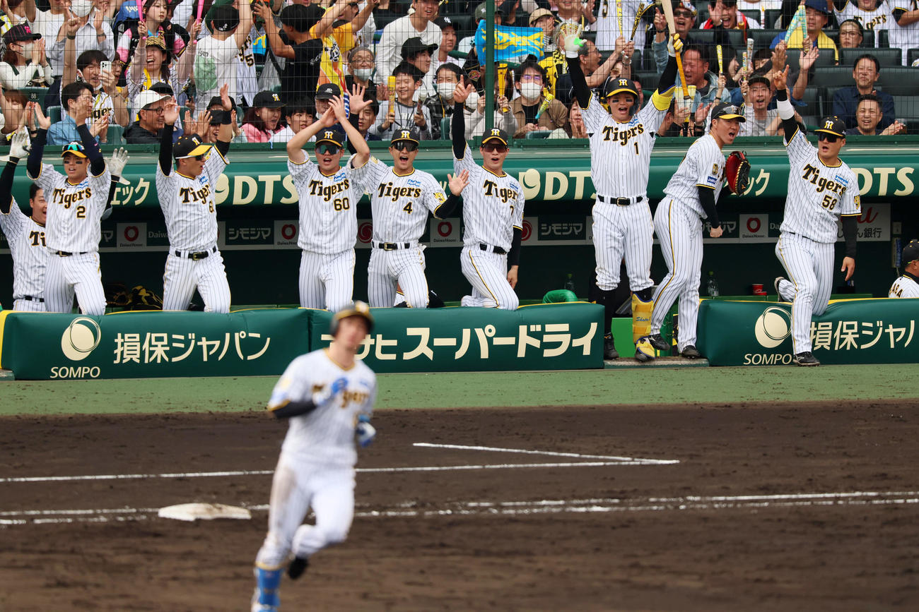 阪神対ヤクルト　5回裏阪神1死二塁、近本の右越え2点本塁打に笑顔を見せるベンチのナイン（撮影・加藤哉）