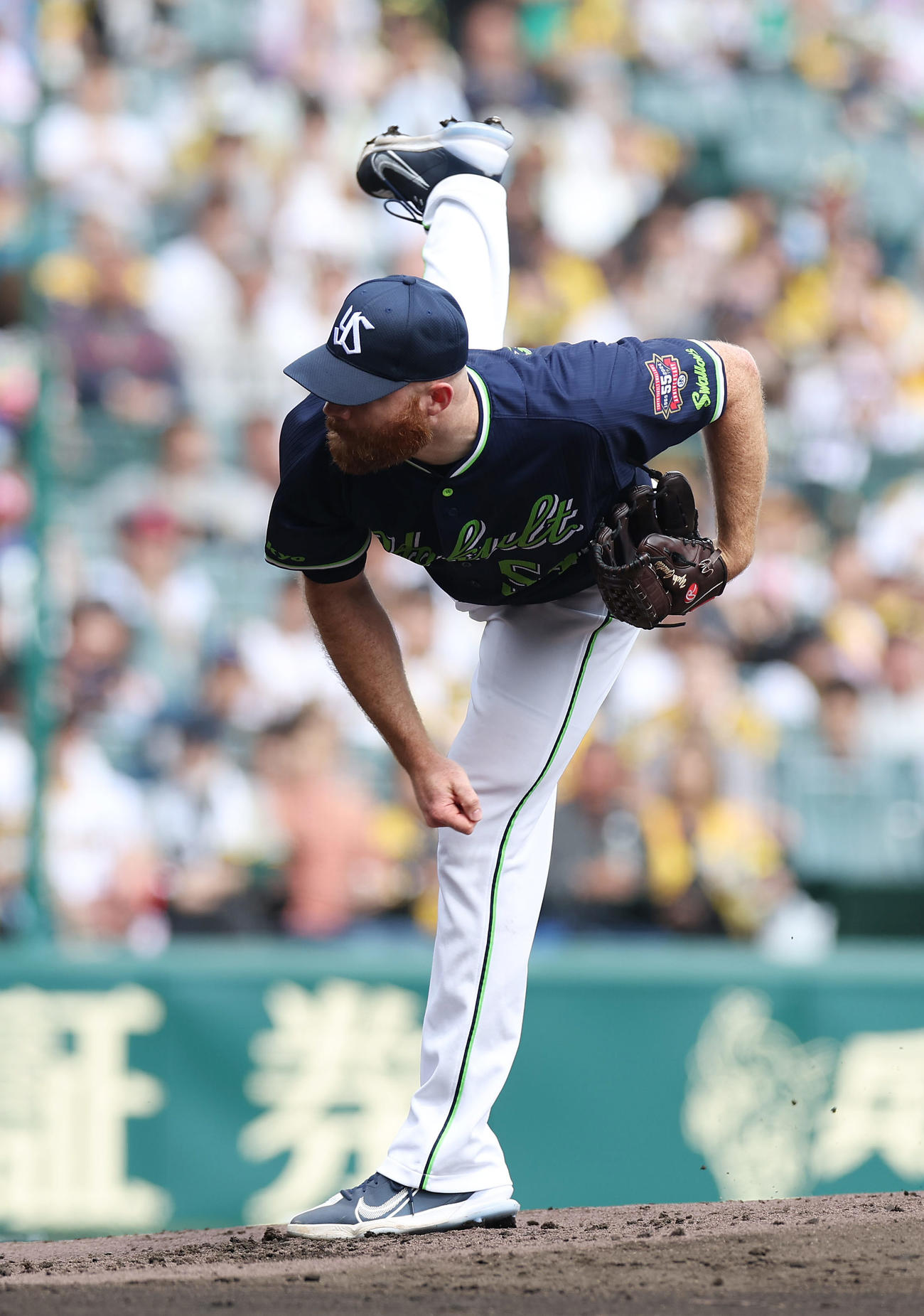 阪神対ヤクルト　力投するヤクルト先発のサイスニード（撮影・前田充）
