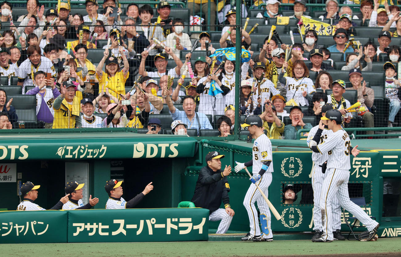 阪神対ヤクルト　5回裏阪神1死二塁、近本は右越え2点本塁打を放ちベンチの岡田監督（左）とタッチ（撮影・加藤哉）