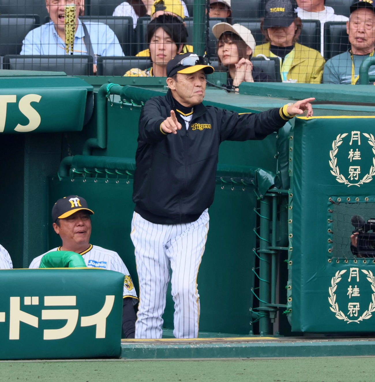 阪神対ヤクルト　7回表ヤクルト1死、岡田監督はサンタナの打球についてリクエストする（撮影・加藤哉）