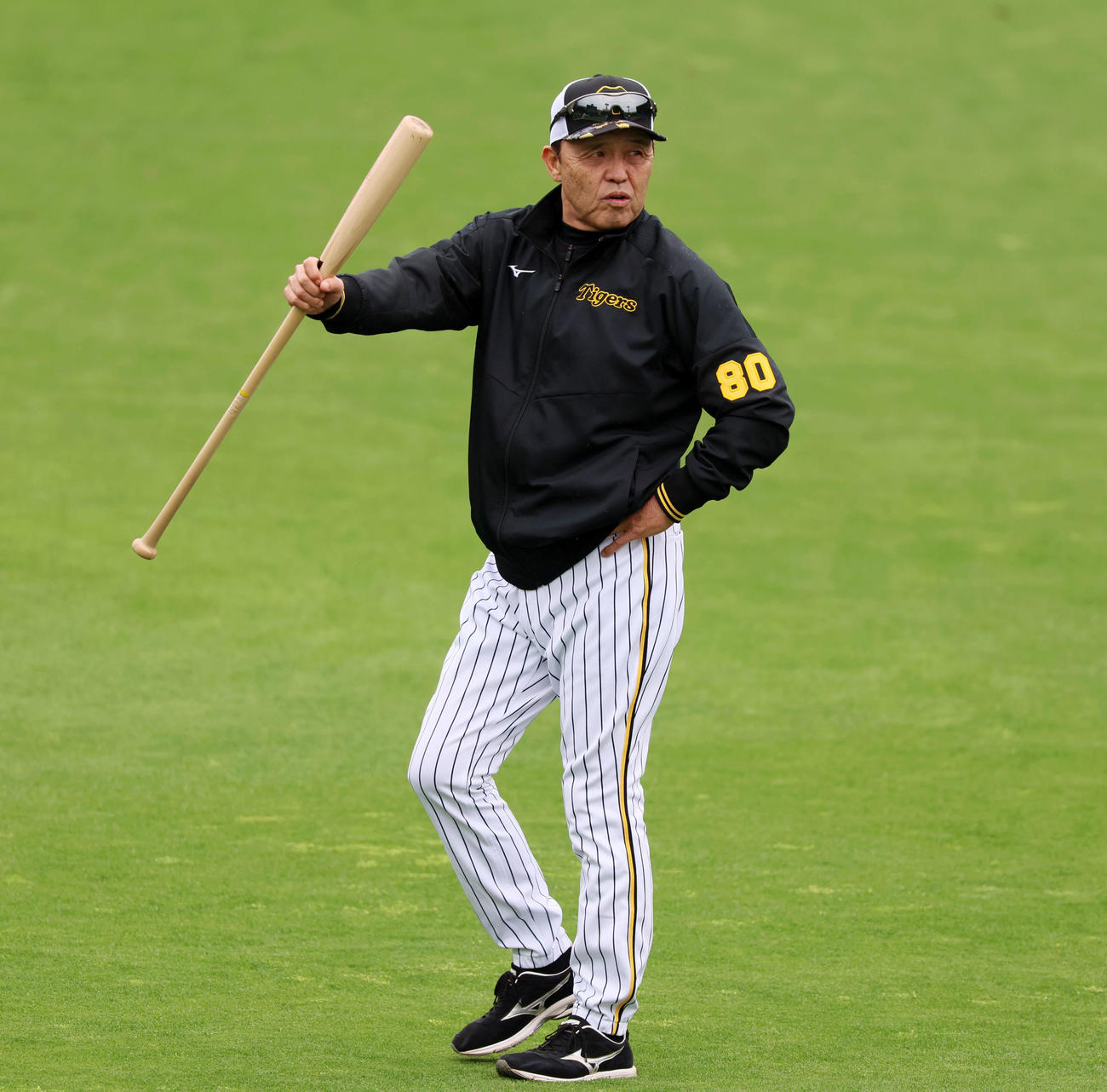 阪神対ヤクルト　バットを手に外野を歩く岡田監督（撮影・加藤哉）