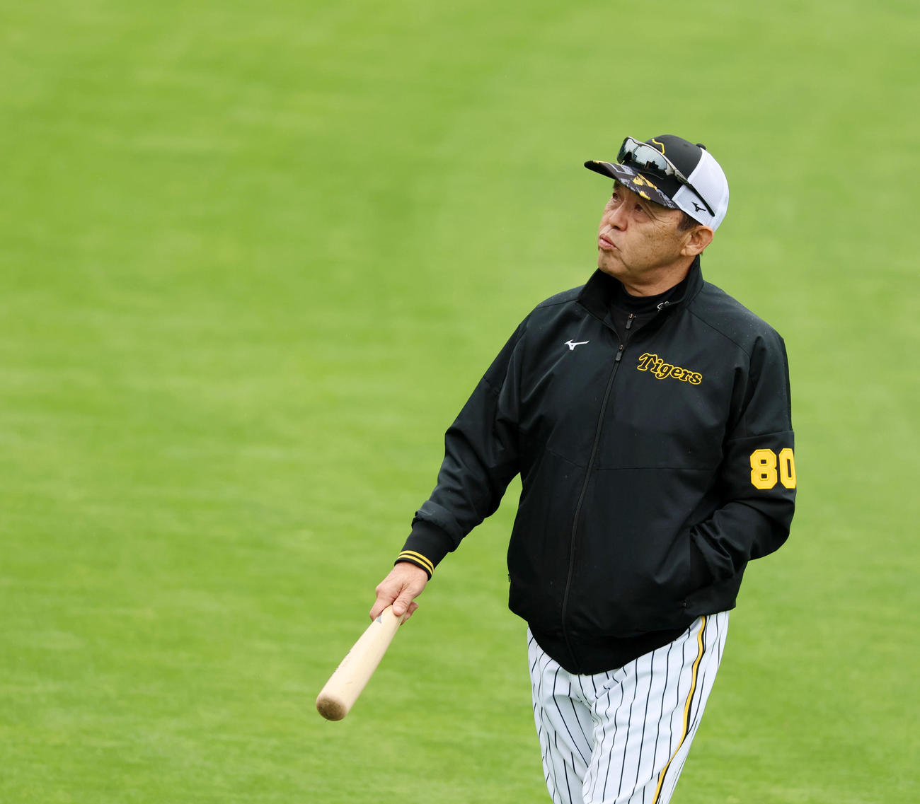 阪神対ヤクルト　上空を見る岡田監督（撮影・加藤哉）