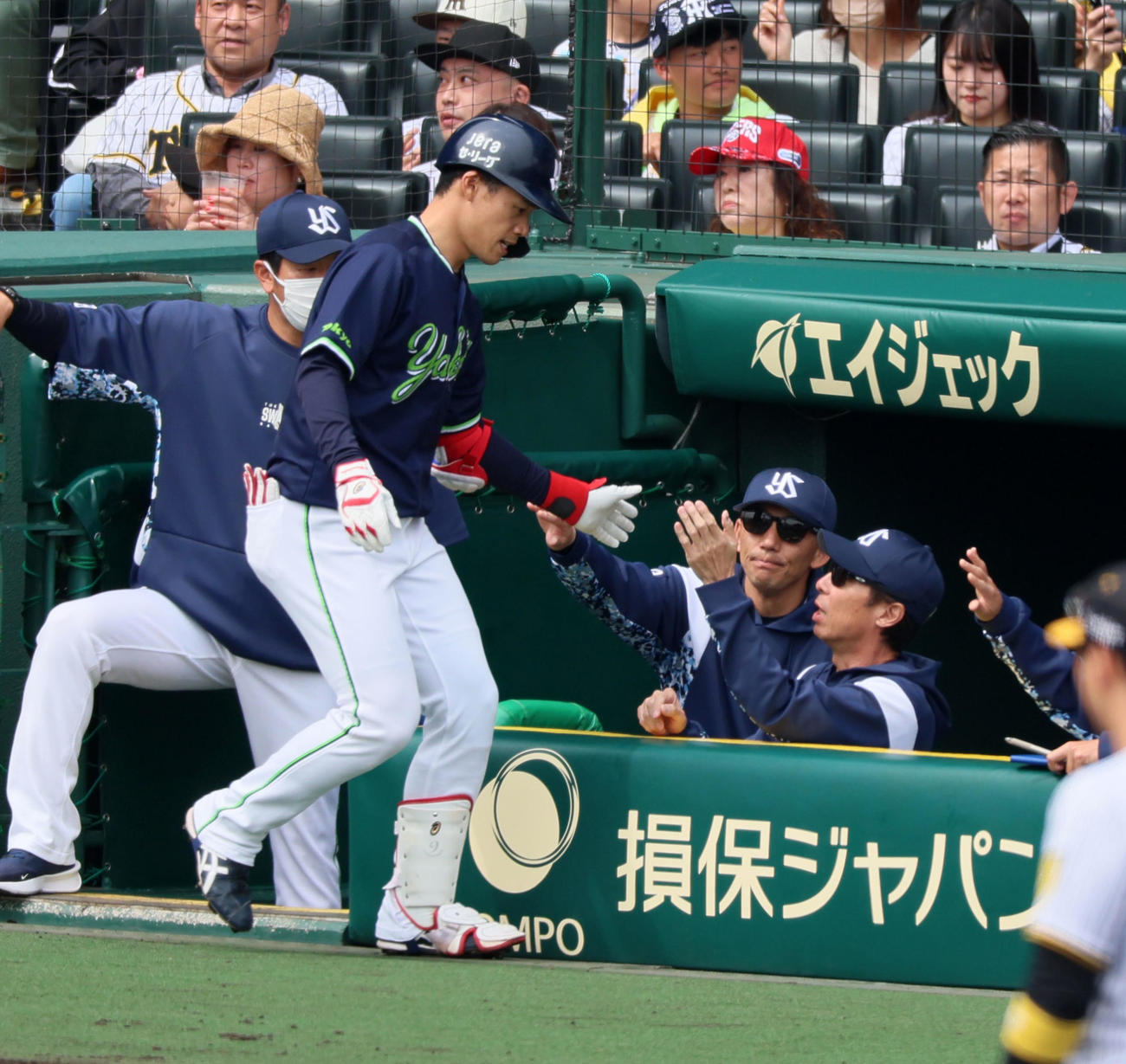 阪神対ヤクルト　1回表ヤクルト無死、塩見（左）は左越え初球ソロ本塁打を放ちベンチの高津監督とタッチ（撮影・加藤哉）