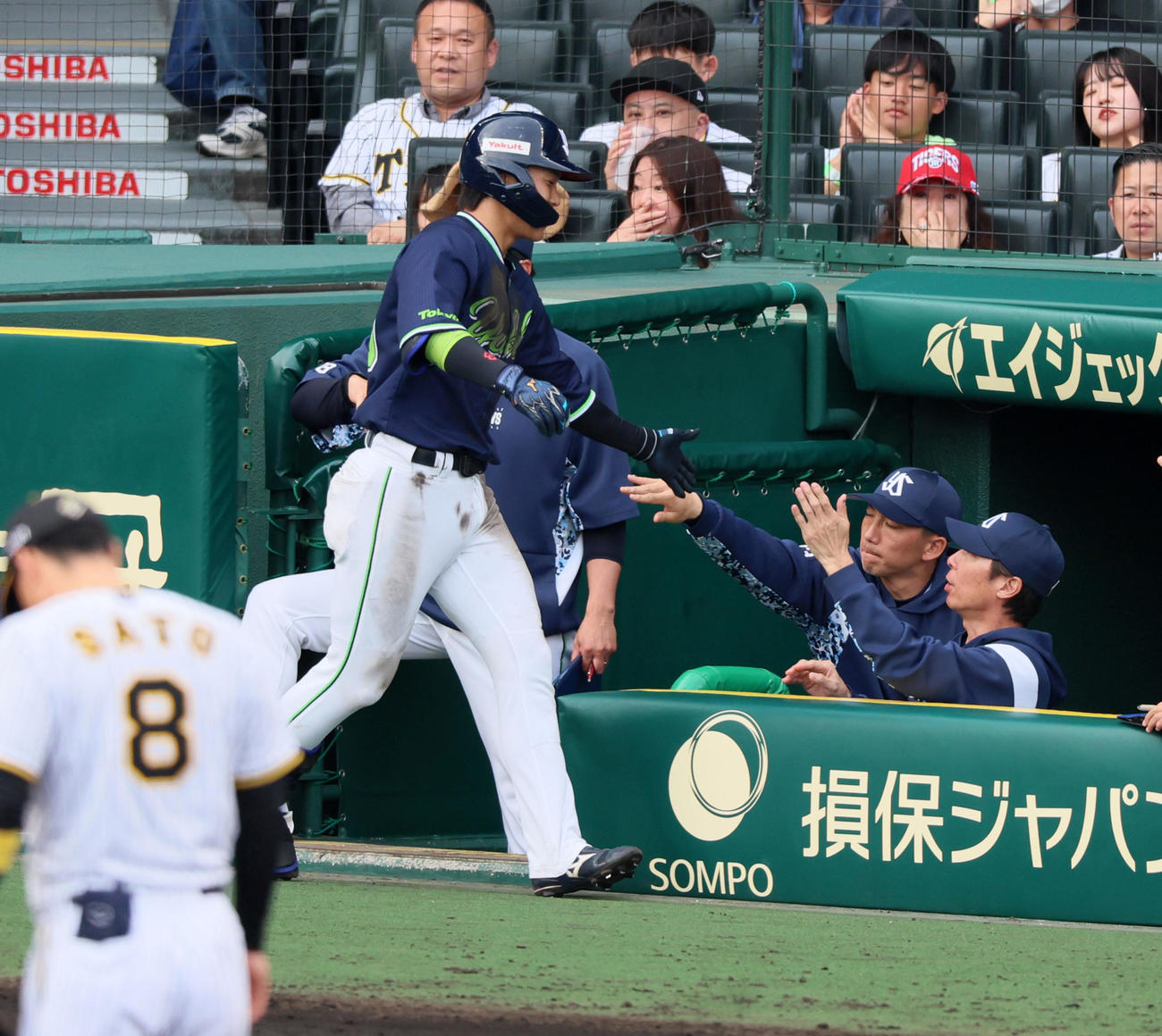 阪神対ヤクルト　9回表ヤクルト無死、武岡は右越えソロ本塁打を放ちベンチの高津監督（右）とタッチする（撮影・加藤哉）
