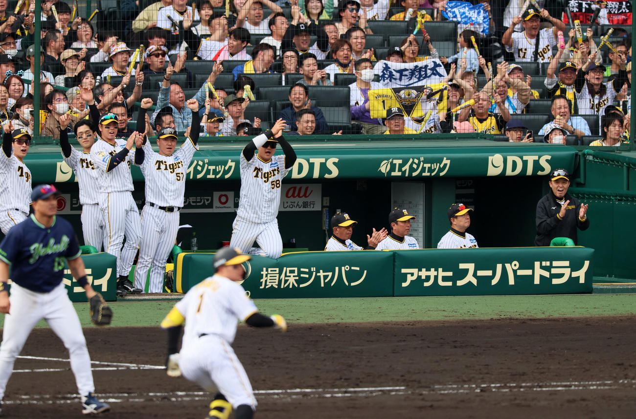 阪神対ヤクルト　7回裏阪神2死二塁、森下の左前適時打に拍手する岡田監督（右）と阪神ナイン（撮影・加藤哉）