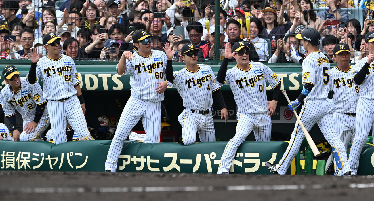 阪神対ヤクルト　5回裏阪神1死二塁、近本（右）は右越え2点本塁打を放ちナインの出迎えを受ける（撮影・前岡正明）