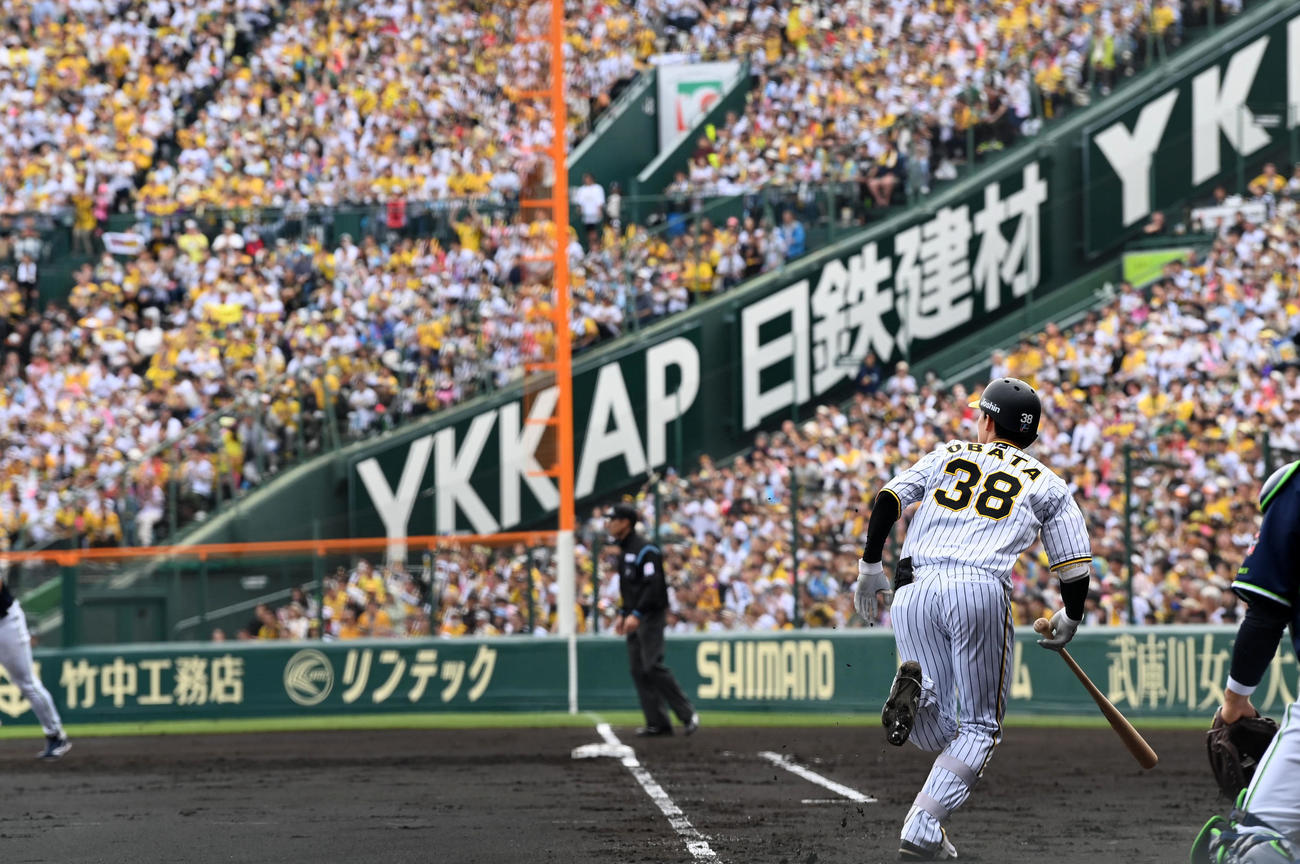 阪神対ヤクルト　2回裏阪神2死一、二塁、小幡は中前適時打を放つ（撮影・前岡正明）