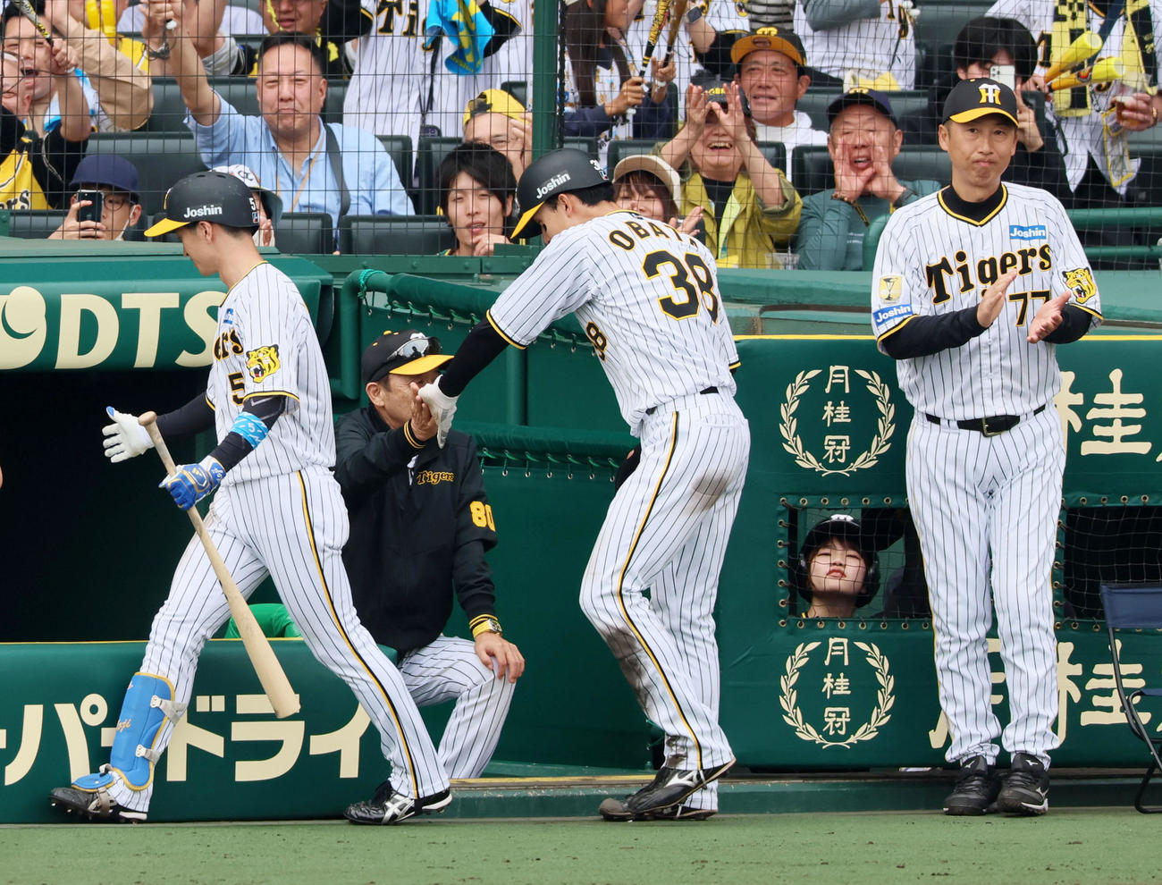 阪神対ヤクルト　5回裏阪神1死二塁、近本（左）の右越えソロ本塁打で生還した二塁走者小幡はベンチの岡田監督とタッチ（撮影・加藤哉）