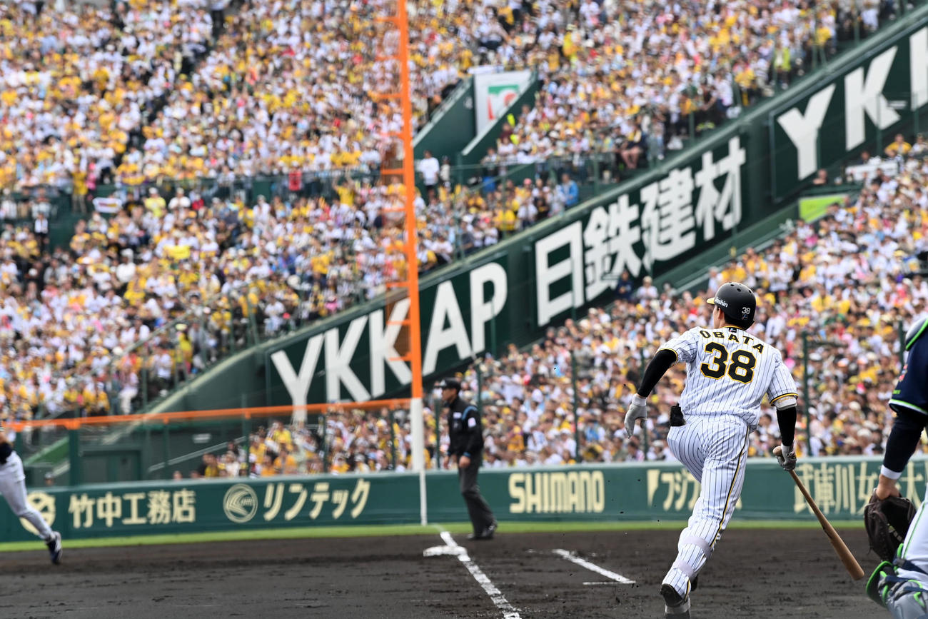 阪神対ヤクルト　2回裏阪神2死一、二塁、小幡は中前適時打を放つ（撮影・前岡正明）