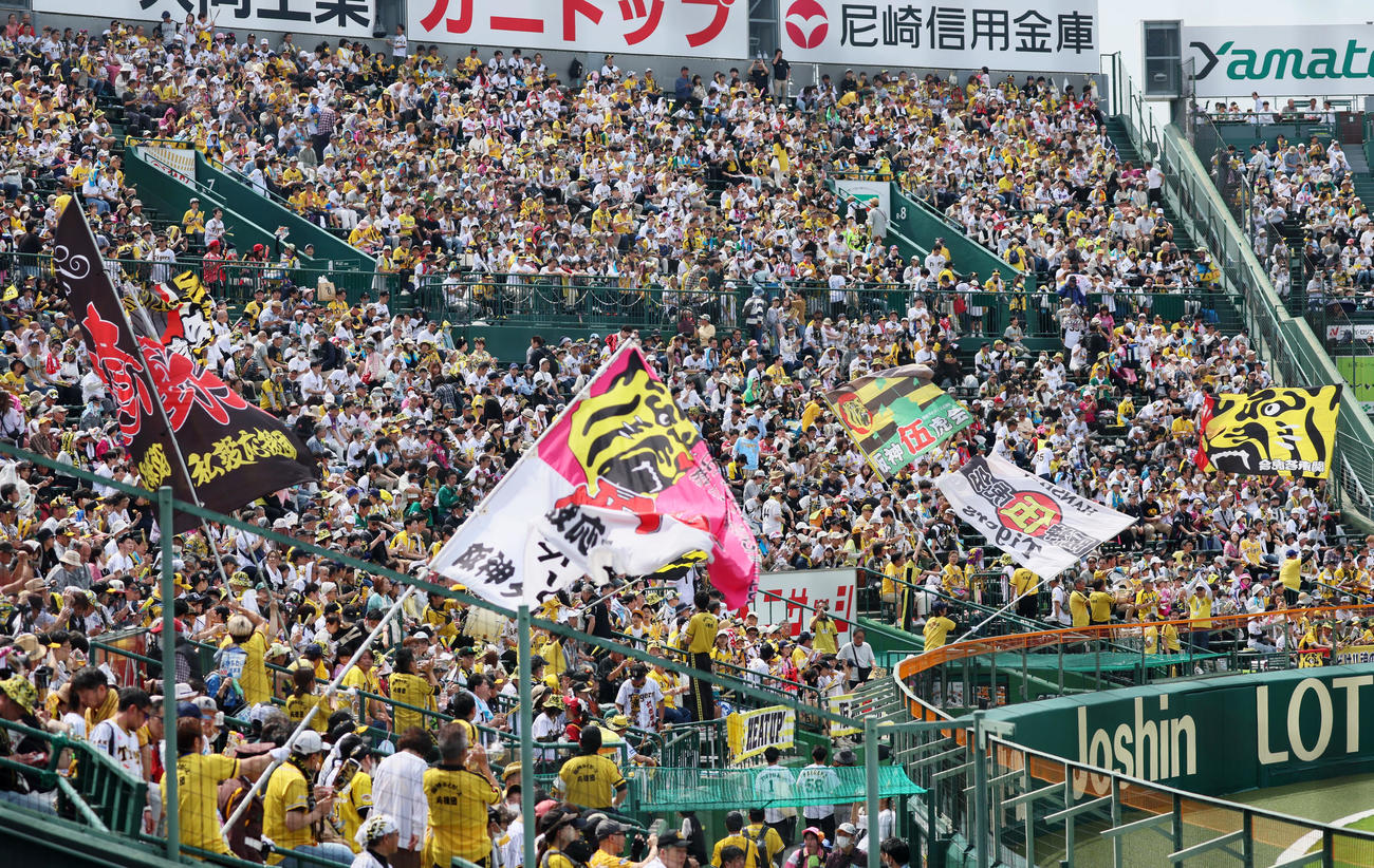 阪神対ヤクルト　声援を送る阪神ファン（撮影・加藤哉）