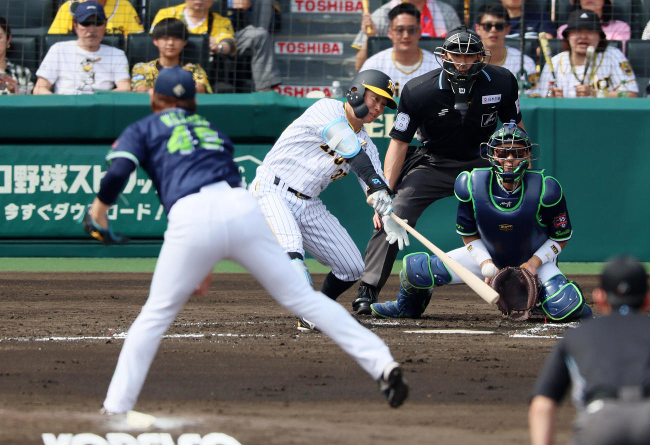 阪神対ヤクルト　2回裏阪神無死一、三塁、糸原は中適時打を放つ。投手は小沢（撮影・加藤哉）