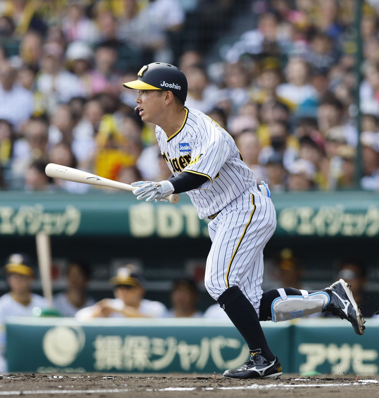 阪神対ヤクルト　2回裏阪神無死一、三塁、糸原は中前に先制の適時打を放つ（撮影・藤尾明華）