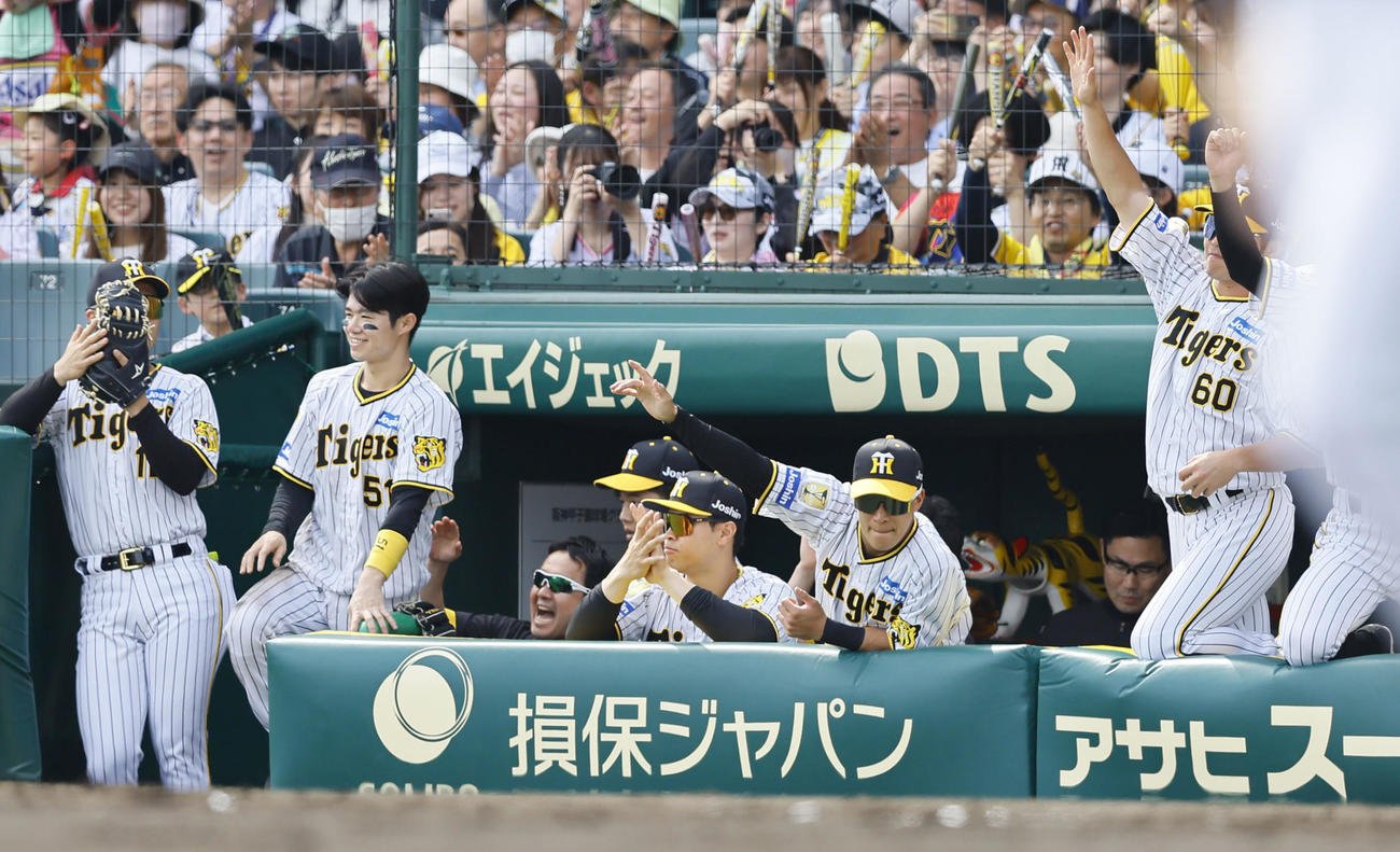 阪神対ヤクルト　2回裏阪神無死一、三塁、糸原の先制適時打に、ベンチで手をたたく佐藤輝明（中央）ら阪神ナイン（撮影・藤尾明華）
