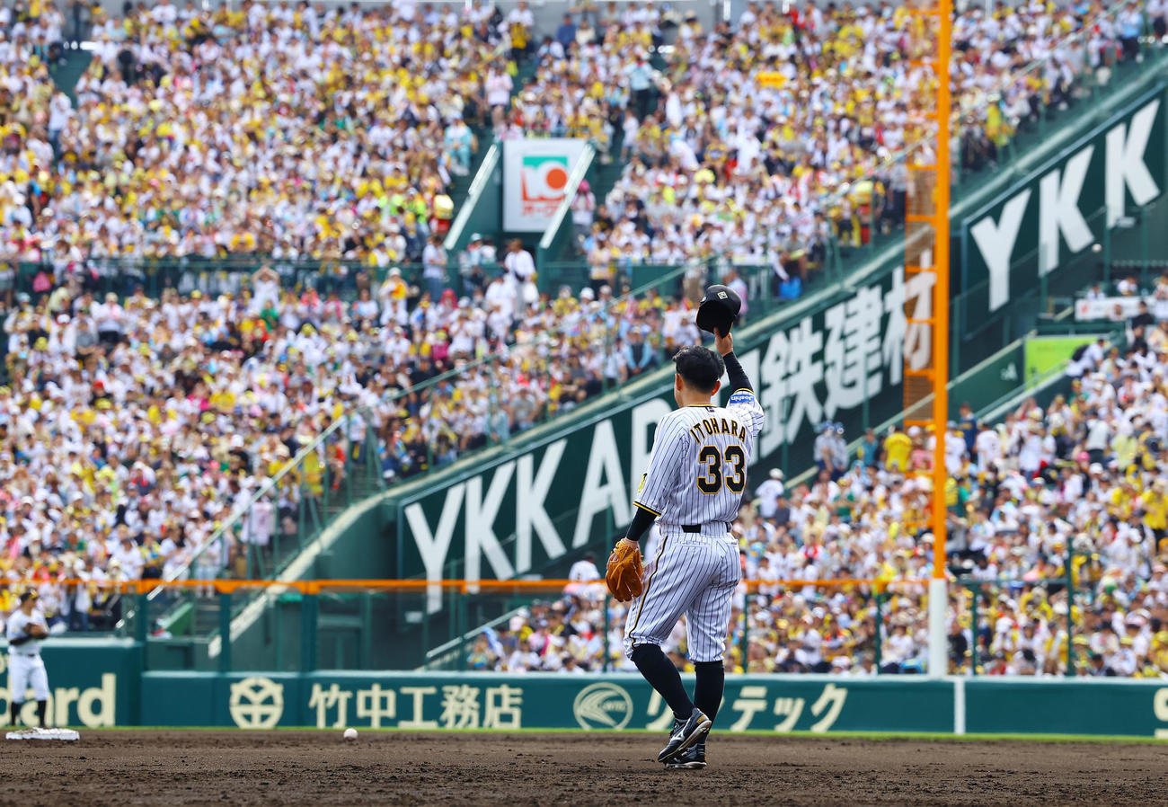阪神対ヤクルト　2回に先制打を放ち、ファンの声援に応える阪神糸原（撮影・藤尾明華）