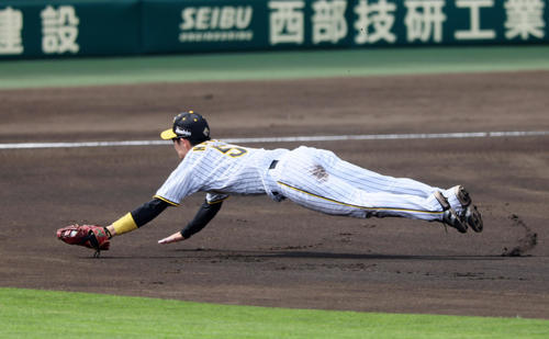 阪神】ヒットでも大きな拍手！中野拓夢ダイビング捕球およばずも驚きの