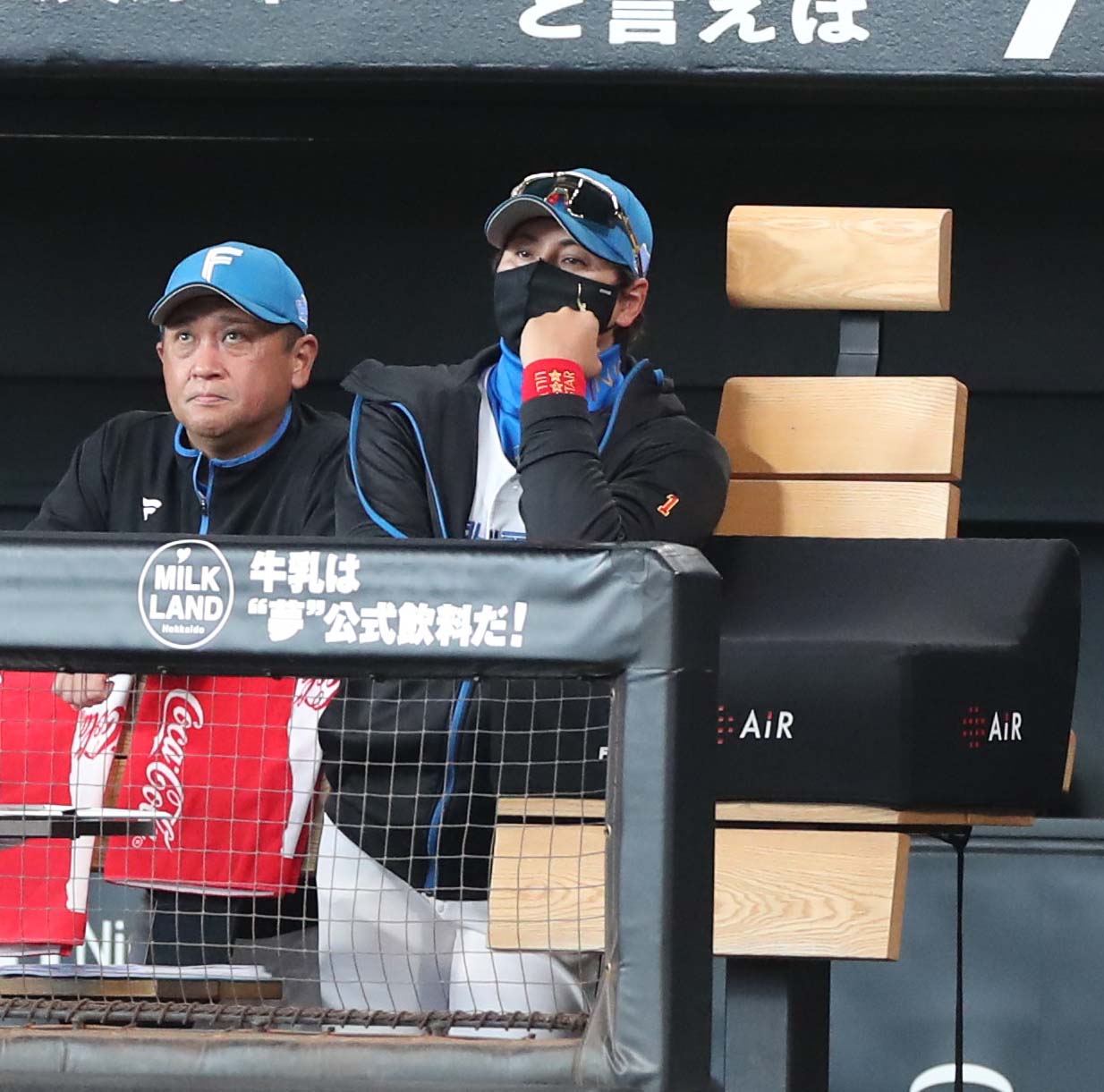 日本ハム対オリックス　試合を見つめる新庄監督（撮影・黒川智章）