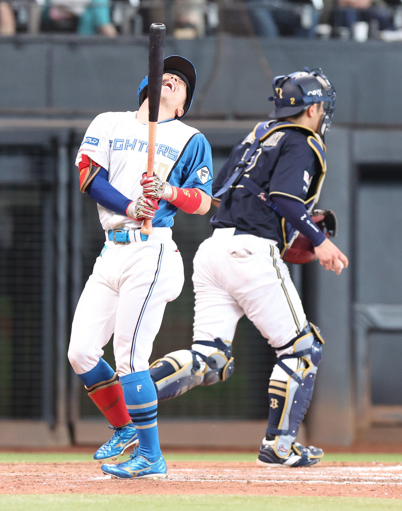 日本ハム対オリックス　7回裏日本ハム2死、五十幡は見逃し三振に終わる（撮影・佐藤翔太）