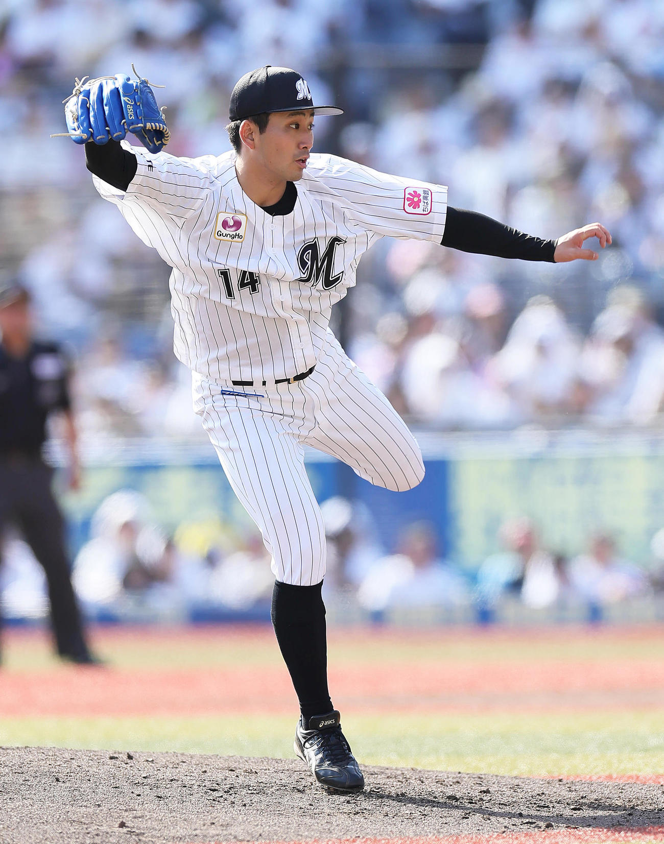 ロッテ対楽天　ロッテ先発の小島（撮影・足立雅史）