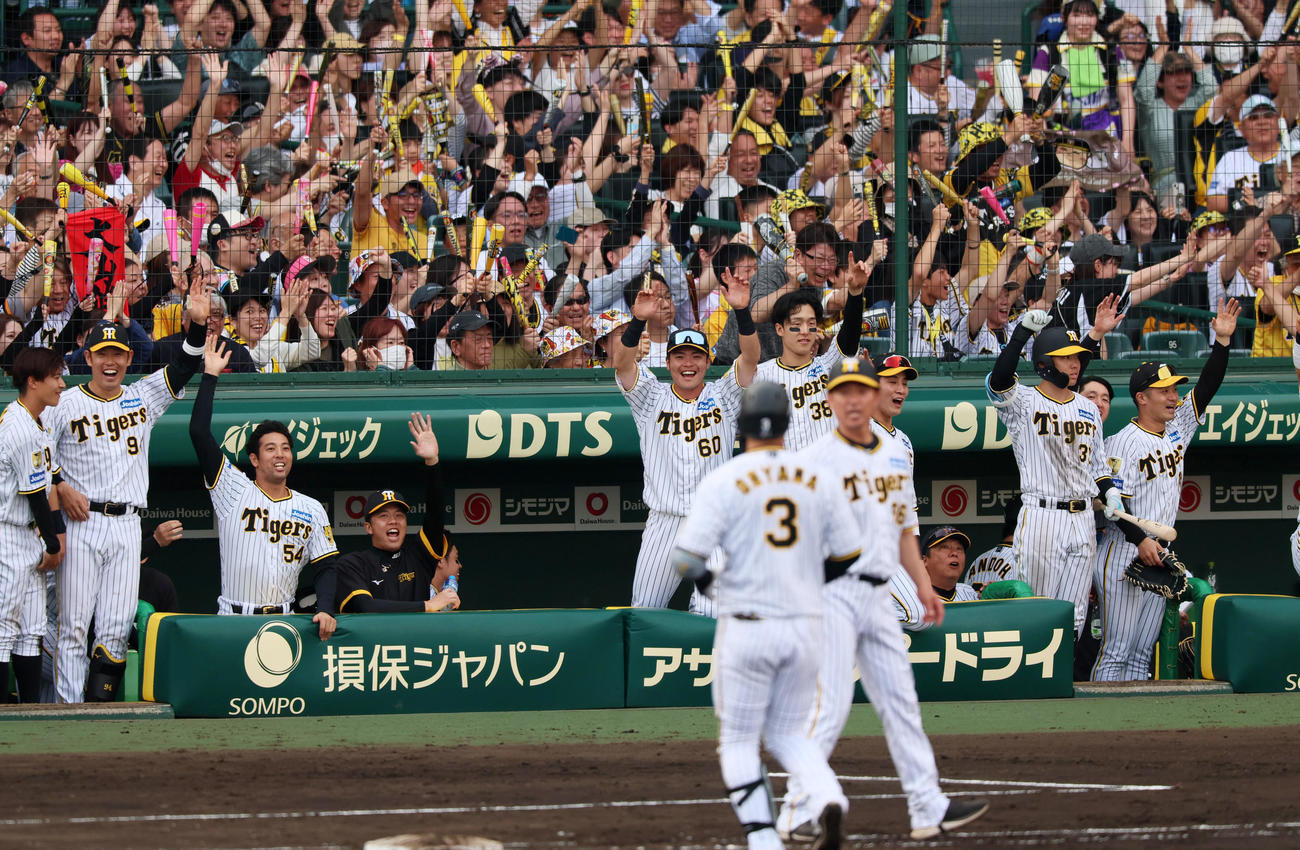 阪神対ヤクルト　7回裏阪神2死一、二塁、大山の左適時打で逆転しベンチで喜ぶ加治屋（左から3人目）らナイン（撮影・加藤哉）