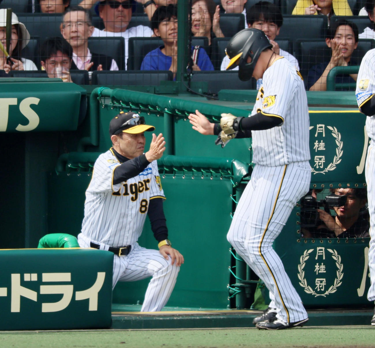 阪神対ヤクルト　2回裏阪神無死一、三塁、三塁走者大山は糸原の中適時打で生還し岡田監督（左）とタッチ（撮影・加藤哉）
