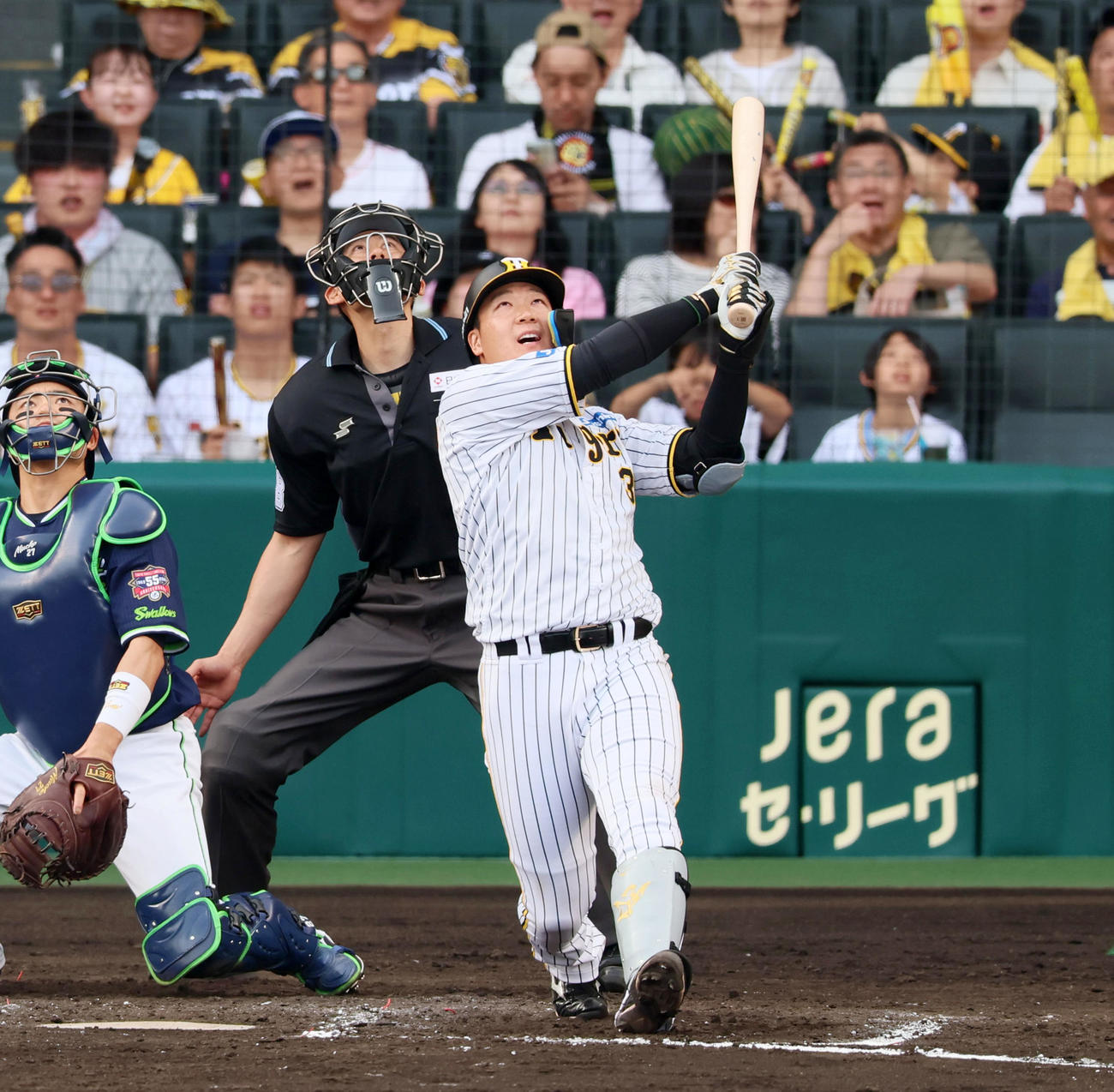 阪神対ヤクルト　7回裏阪神2死一、二塁、大山は左適時打を放つ（撮影・加藤哉）