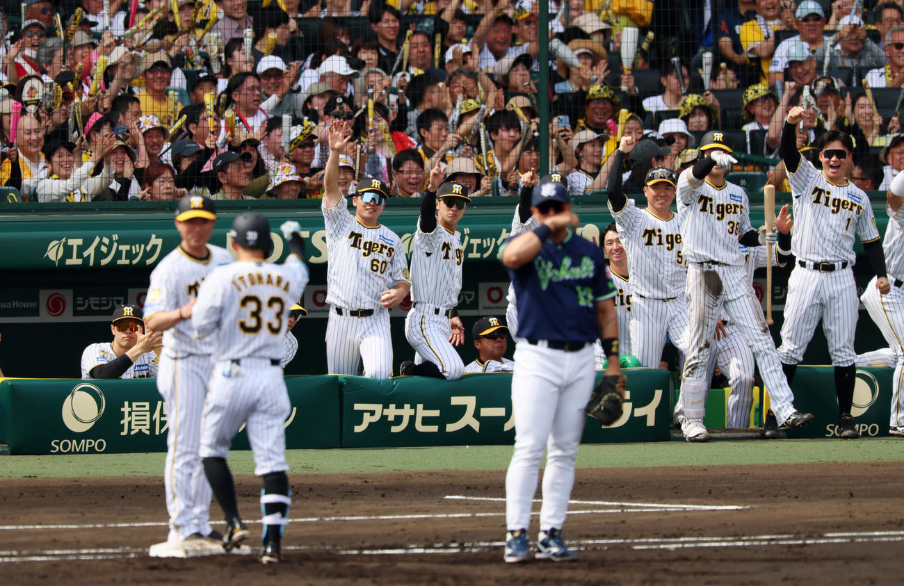 阪神対ヤクルト　2回裏阪神無死一、三塁、中適時打を放った糸原（左）のガッツポーズに応えるベンチのナイン。左端は佐藤輝（撮影・加藤哉）