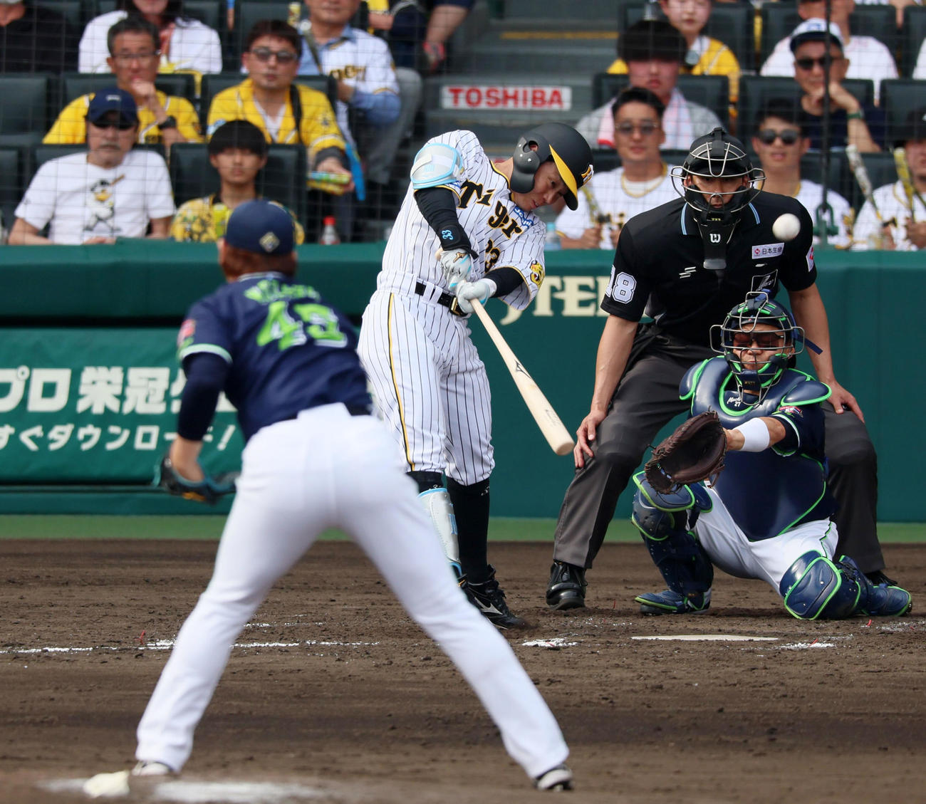 阪神対ヤクルト　4回裏阪神1死、糸原は左前打を放つ。投手は小沢（撮影・加藤哉）